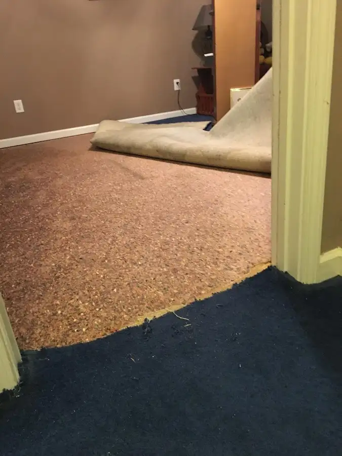 Carpet pad removal revealing water damage during Drying & Dehumidification in Brunswick